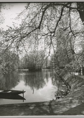 zieleń miejska - element krajobrazu miasta