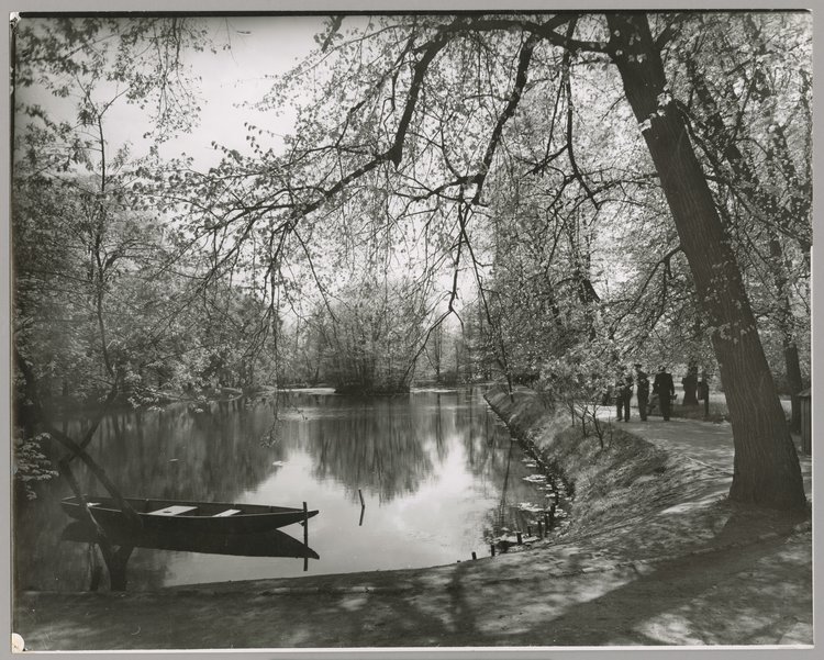 Staw i fragment parku w Łazienkach