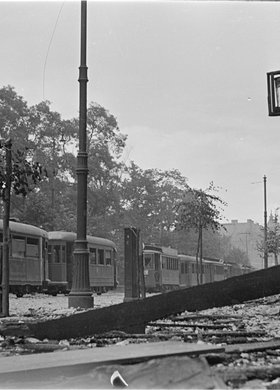 Unieruchomione tramwaje na ulicy Królewskiej