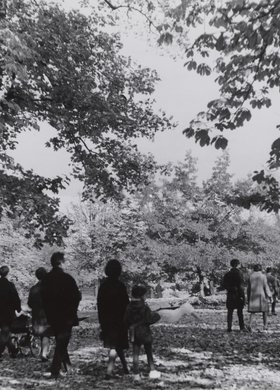 Fragment parku w Łazienkach Królewskich jesienią