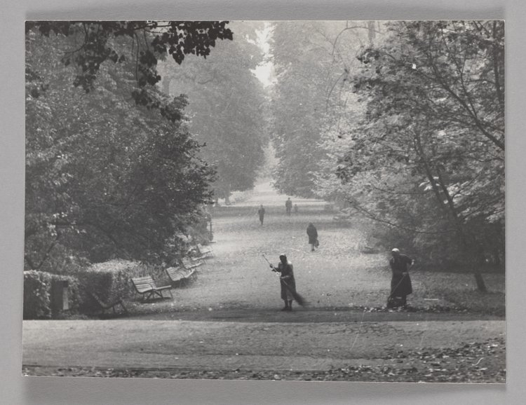 Sweeping up leaves in the Łazienki Królewskie