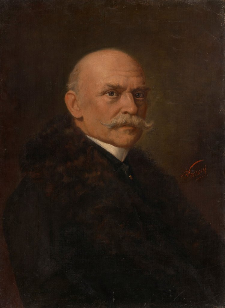 Portret Teofila Lenartowicza (1822-1893)