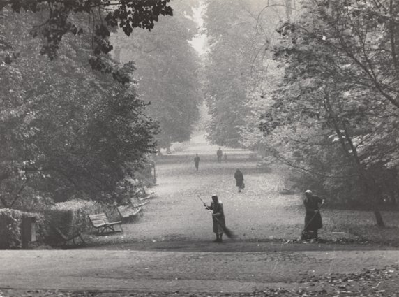 Sweeping up leaves in the Łazienki Królewskie