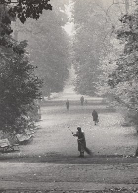 Sweeping up leaves in the Łazienki Królewskie