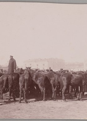 Targ koński na Pradze