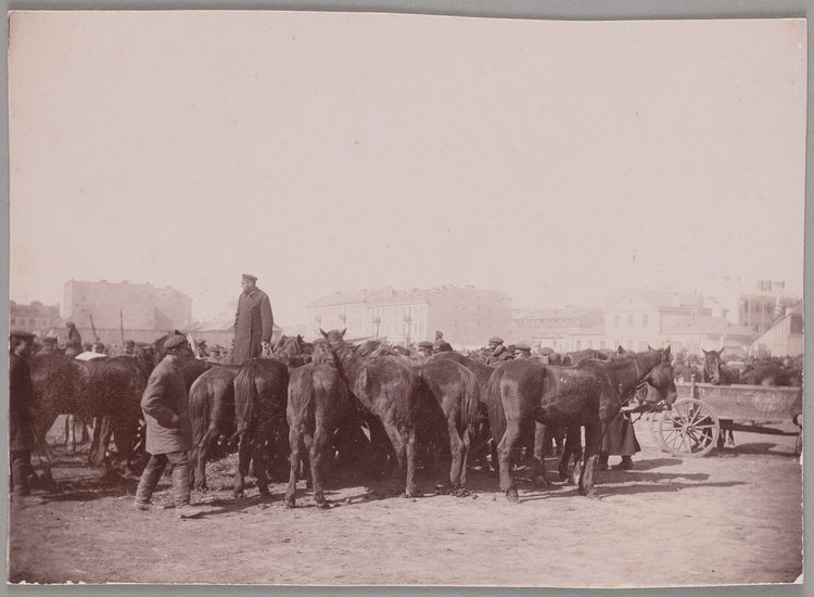 Targ koński na Pradze