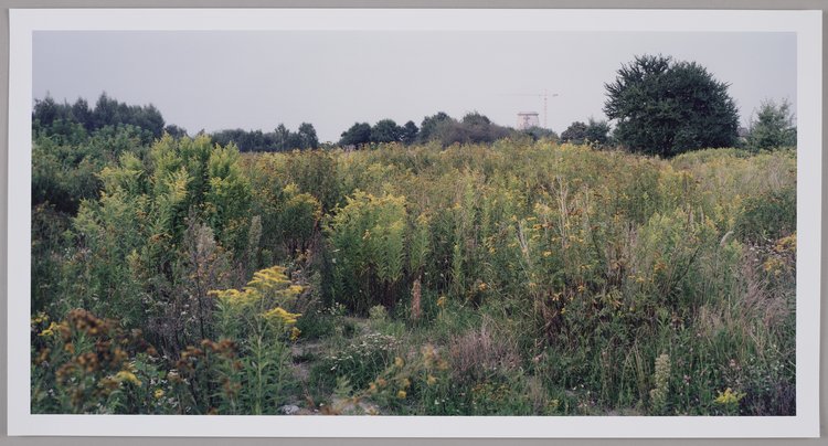 Bez tytułu, z cyklu "Nowa Warszawa"