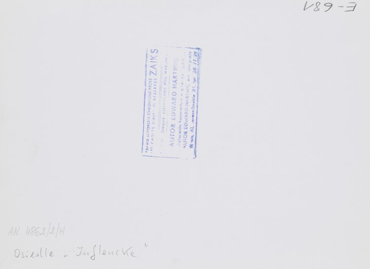 Widok z okna na osiedle Inflancka