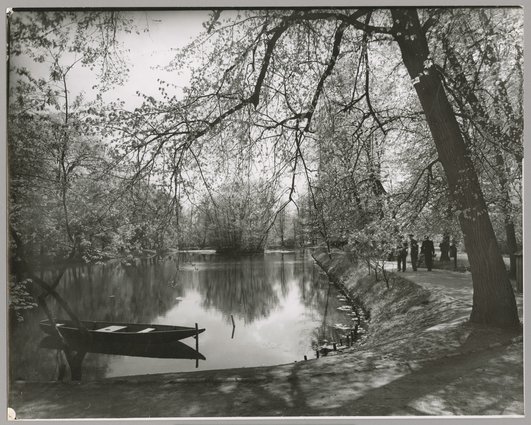 Staw i fragment parku w Łazienkach