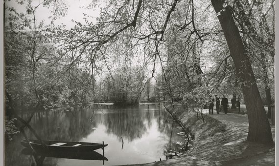 Staw i fragment parku w Łazienkach