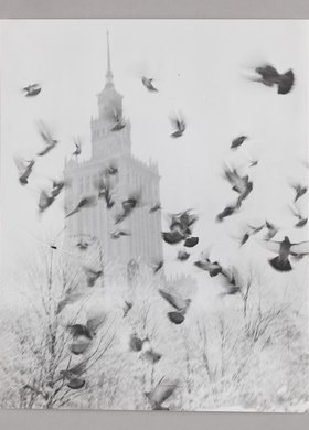 The Palace of Culture and Science in winter