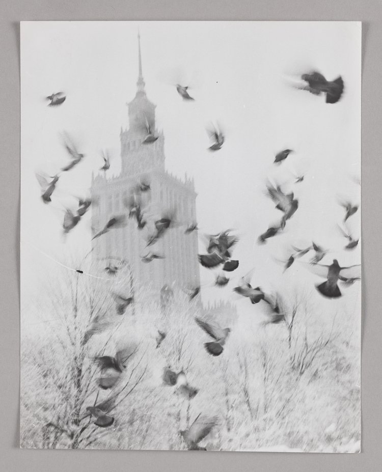 Pałac Kultury i Nauki zimą