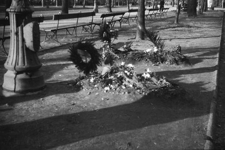 Mogiły w Alejach Ujazdowskich