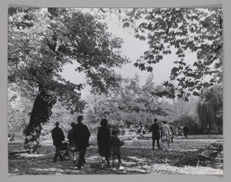 Part of Royal Baths Park in the fall