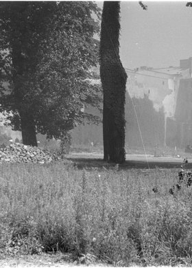 Ogród pałacu Branickich