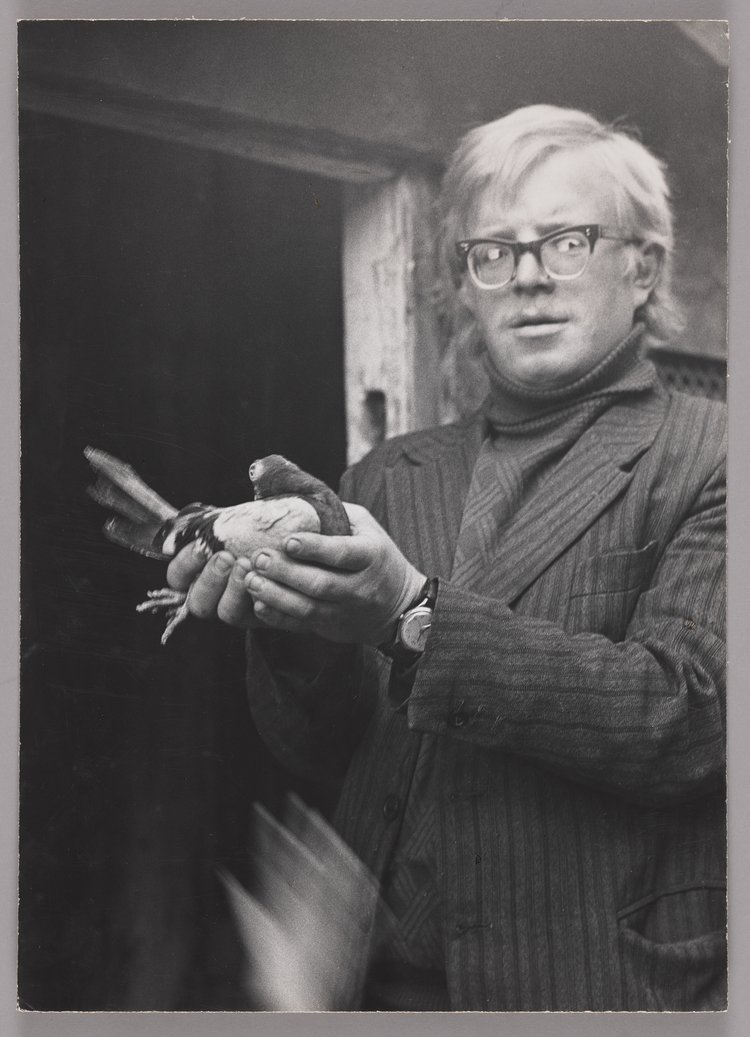 Mężczyzna prezentujący hodowanego gołębia na podwórzu przy ulicy Strzeleckiej 31