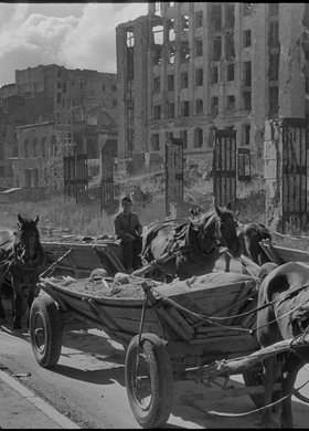 Ruiny placu Napoleona