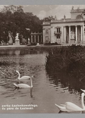 Łabędzie i pałac Na Wyspie w Łazienkach