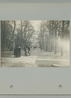 Aleja Główna w Ogrodzie Saskim