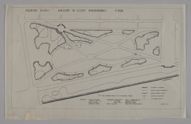Ogród Saski, krzewy w części południowej