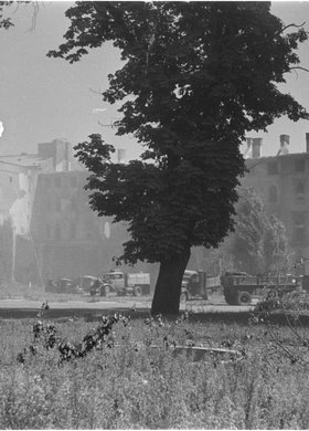 Porzucone samochody w ogrodzie pałacu Branickich