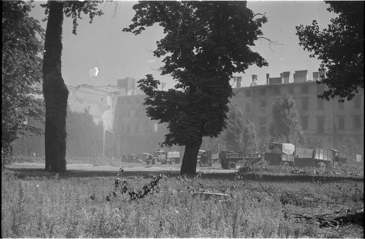 Porzucone samochody w ogrodzie pałacu Branickich