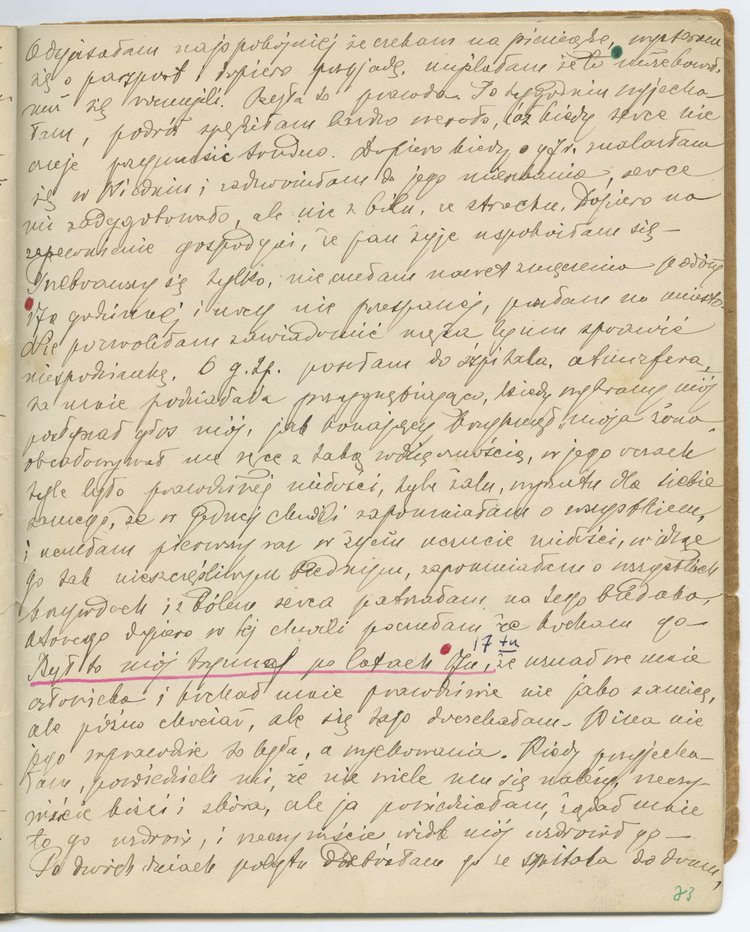 Drugi tom rękopisu pamiętnika Marii Jadwigi Strumff p.t. 'Badania życia i ludzi'