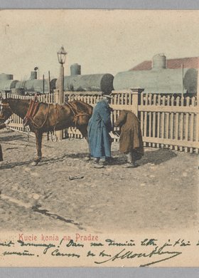 Podkuwanie konia na Pradze