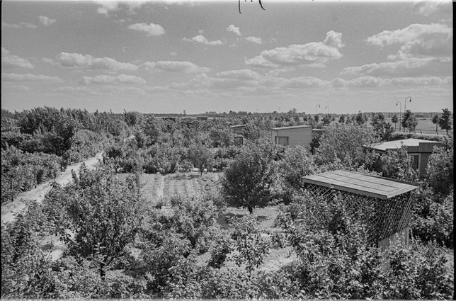 Ogródki działkowe Rakowiec