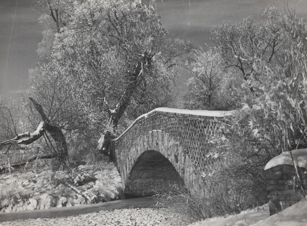 
                     
                     Most Rzymski w parku Wilanowskim zimą
                     
                     