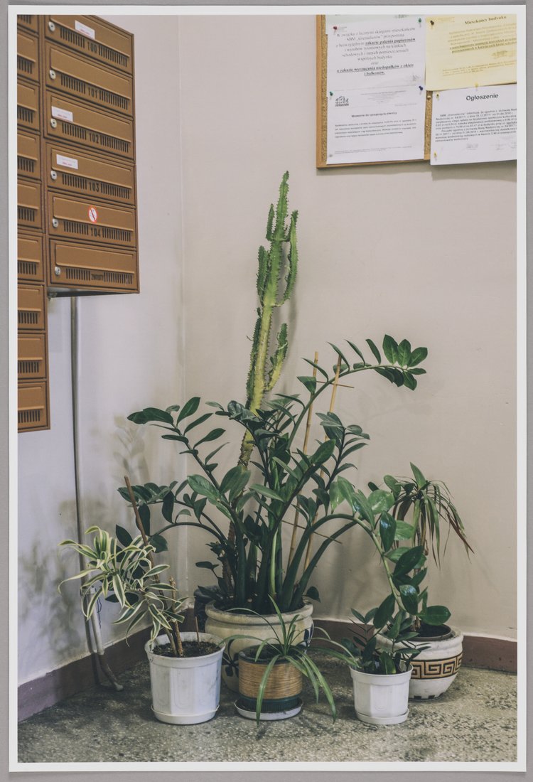 ul. Igańska 24, parter, Grochów, Praga Południe, z cyklu "Na klatce"