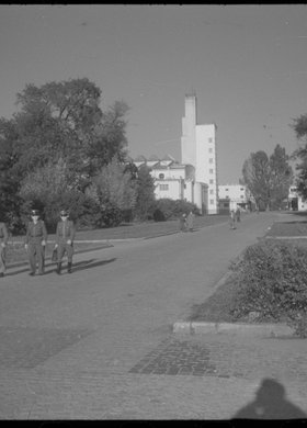 Główna aleja kampusu Akademii Wychowania Fizycznego przy ulicy Marymonckiej