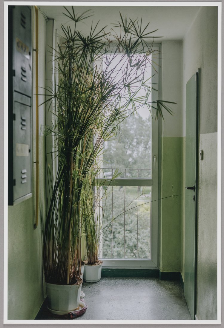 ul. Łukowska 8, piętro 4, Gocławek, Praga Południe, z cyklu "Na klatce"