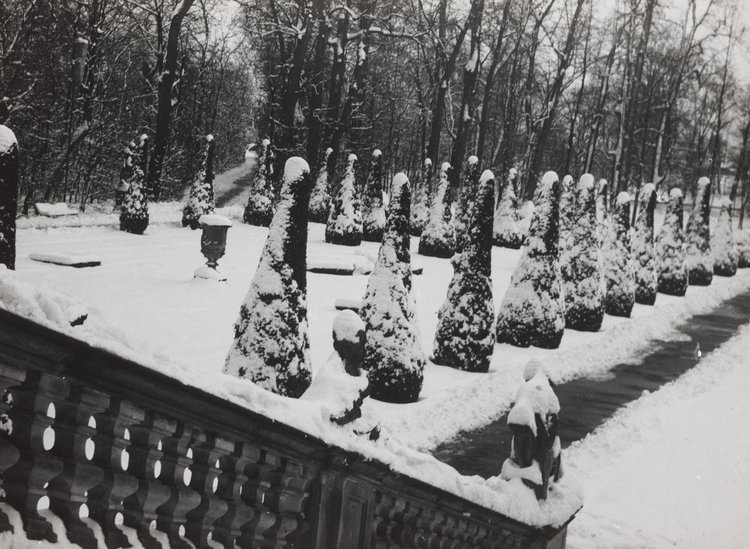 Fragment Ogrodu Barokowego przy pałacu w Wilanowie zimą