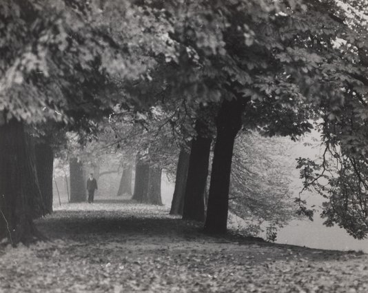 An alley in the gardens of the Łazienki Królewskie
