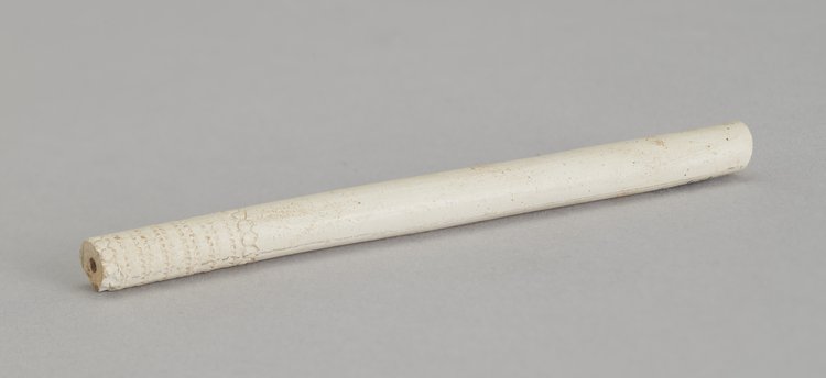 Fajka jednorodna - cybuch