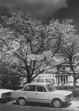 Plac Trzech Krzyży wiosną