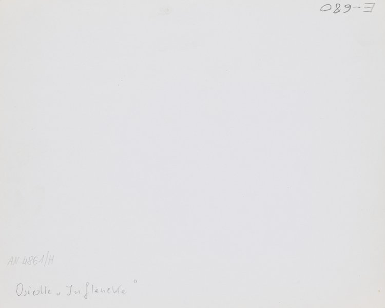 View of the Inflancka housing estate from a window