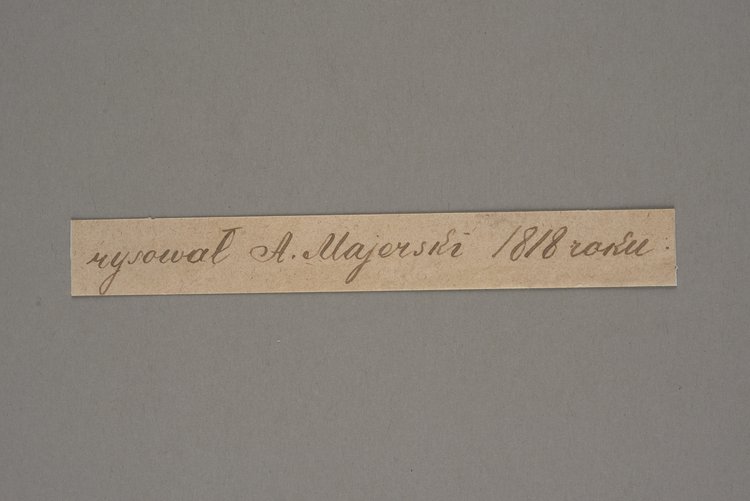 Widok Marymontu od strony stawu