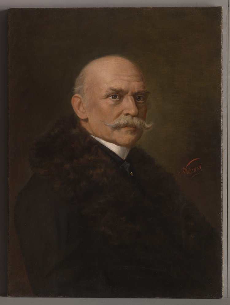 Portret Teofila Lenartowicza (1822-1893)