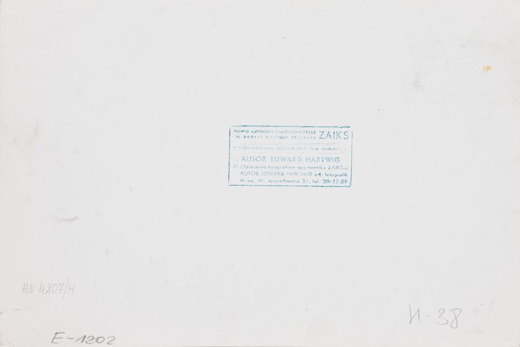 Fragment drewnianego ogrodzenia