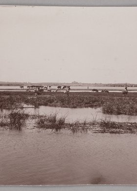 Wisła