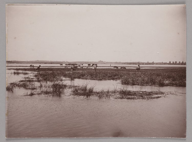 Wisła