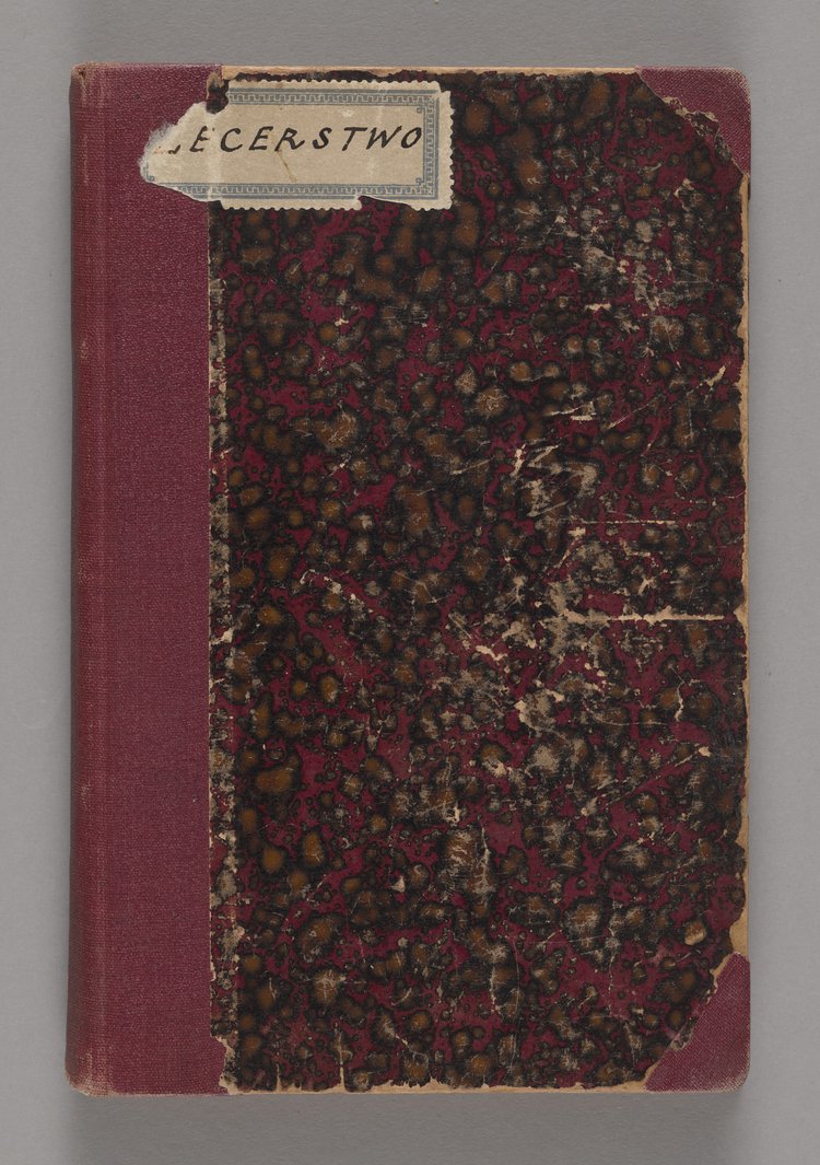 Podręcznik dla zecerów przez Władysława Danielewicza Podstarszego Zgrom. Drukarzy Warszawskich