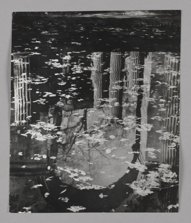 Amfiteatr w Łazienkach Królewskich, odbicie w wodzie