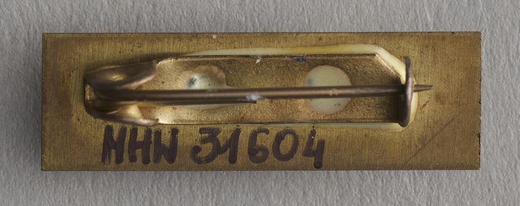 Przypinka z napisem Nobel '83