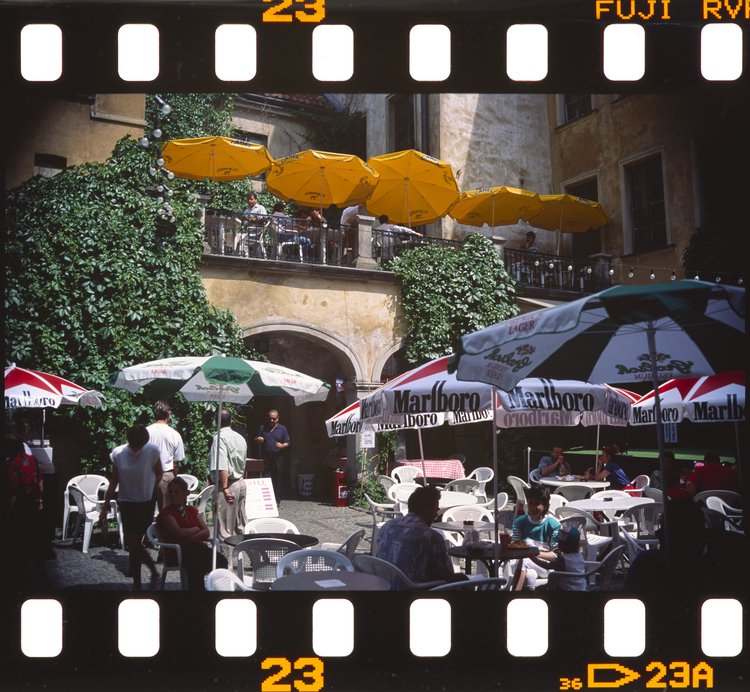 Ogródek kawiarni Lapidarium