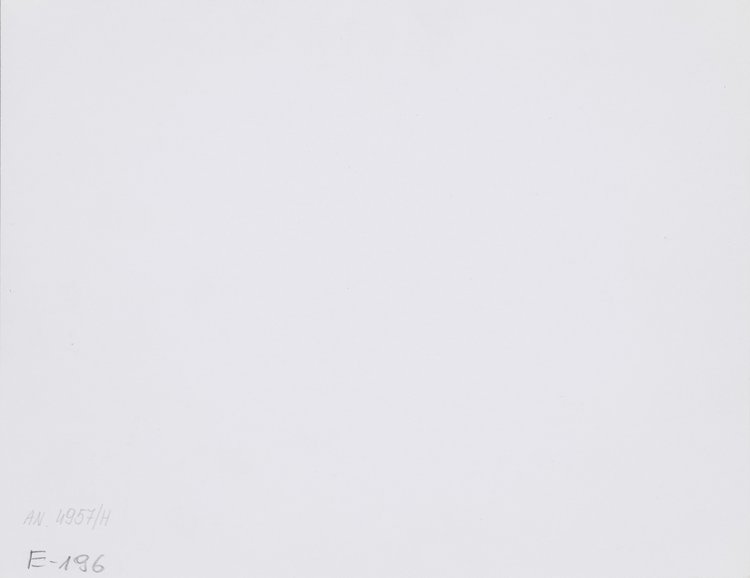 Zawody hippiczne na Stadionie Dziesięciolecia