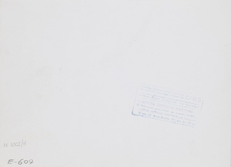 Pałac na Wyspie w Łazienkach Królewskich zimą