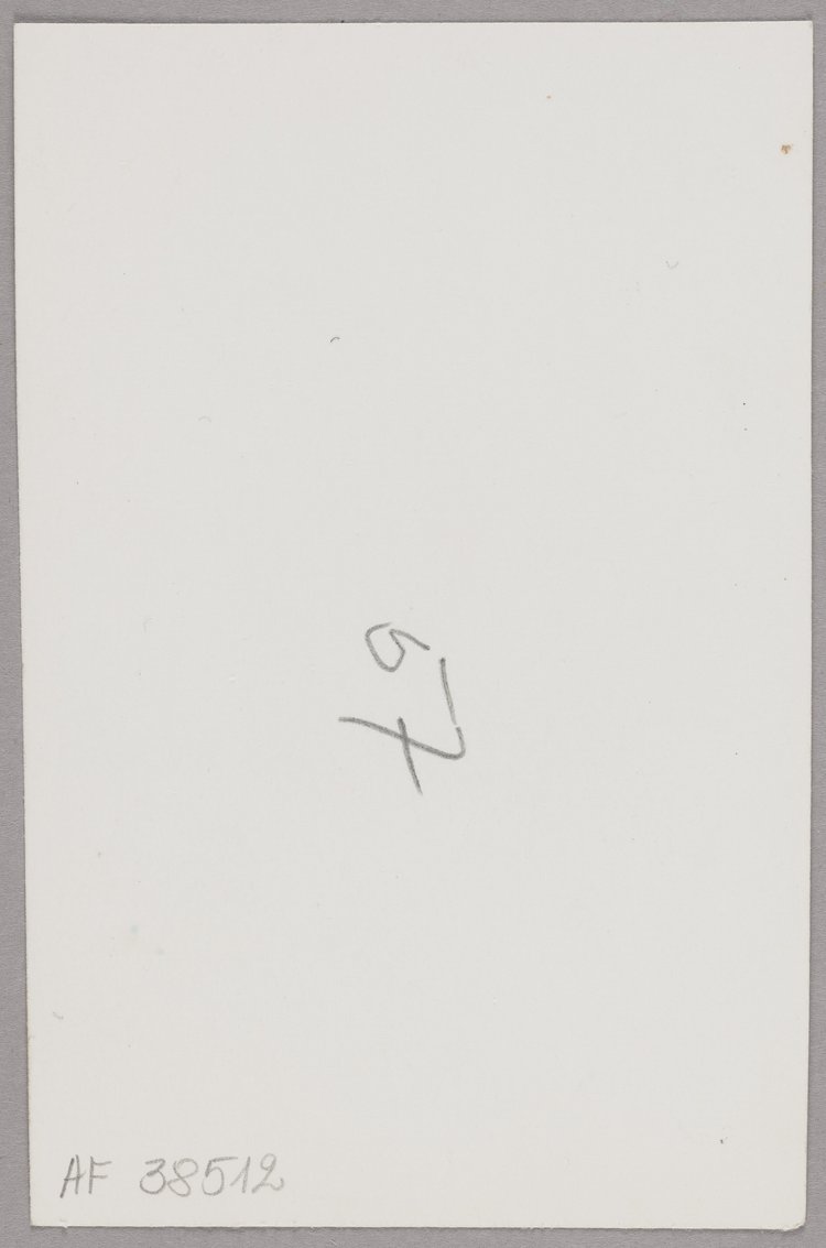 Autoportret Aliny Scholtz z kotem